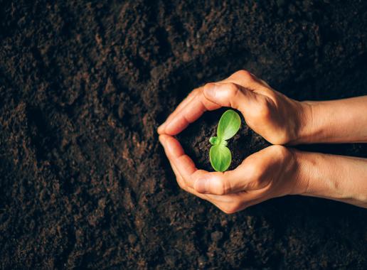 Bescherm de aarde door de ecologische voetafdruk te beperken met duurzame keuzes